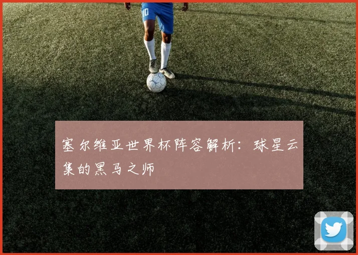 塞尔维亚世界杯阵容解析：球星云集的黑马之师