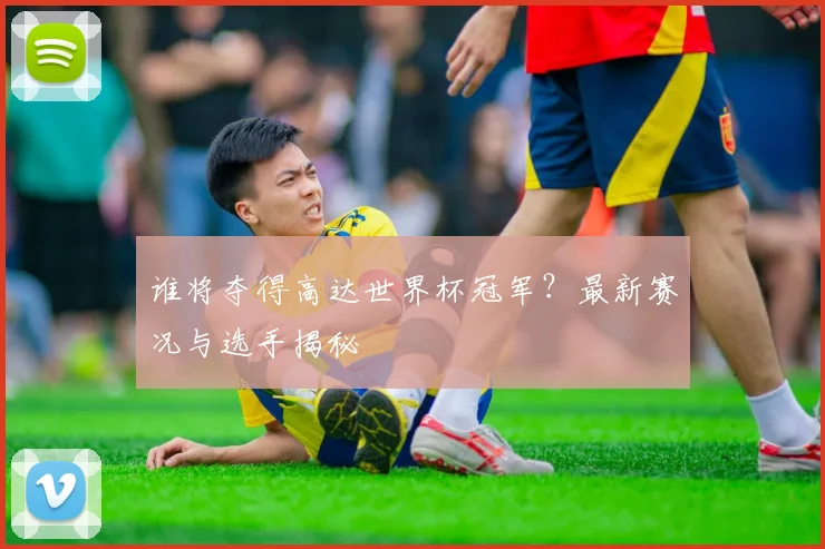 谁将夺得高达世界杯冠军？最新赛况与选手揭秘