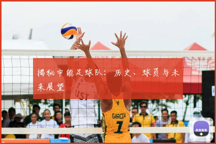 揭秘中能足球队：历史、球员与未来展望
