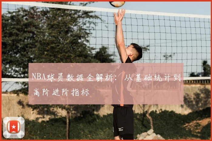 NBA球员数据全解析：从基础统计到高阶进阶指标